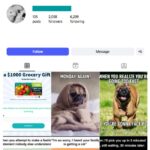 2K Cats Dogs Pets Instagram Account for sale