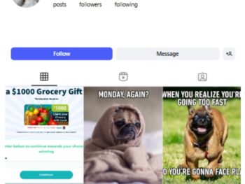 2K Cats Dogs Pets Instagram Account for sale