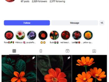 2K Nature Sunflowers Instagram Account for sale
