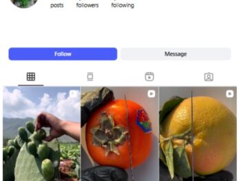 2K Plants Vegetable Instagram Account for sale