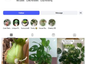 3K Plant Pot Gardening Instagram Account for sale