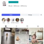 1K Cute Cats Instagram Account for sale