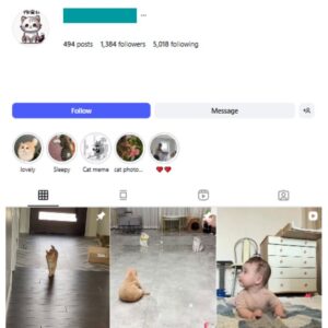 1K Cute Cats Instagram Account for sale