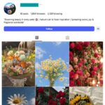 1K Flowers Aesthetics Instagram Account for sale