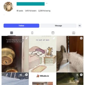 1K Kittens Cats Instagram Account for sale