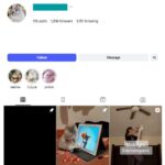 1K Kittens Cats Instagram Account for sale
