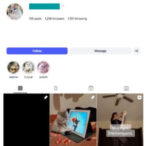 1K Kittens Cats Instagram Account for sale