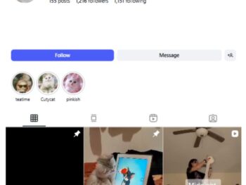 1K Kittens Cats Instagram Account for sale