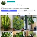 1K Plants Indoor Greenery Instagram Account for sale