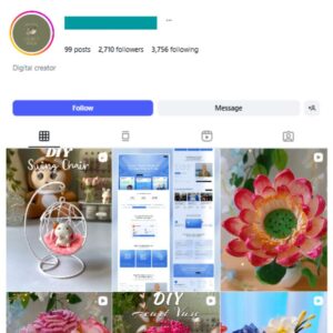 2K DIY Flower Craft Instagram Account for sale