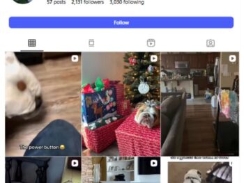 2K English Bulldog Instagram Account for sale