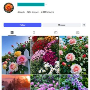2K Flowers Garden Instagram Account for sale