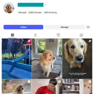 2K Golden Retriever Dogs Instagram Account for sale