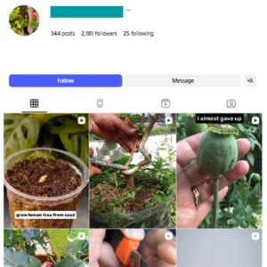 2K Indoor Plants Vegetable Instagram Account for sale