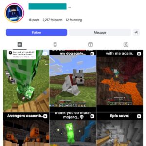 2K Minecraft Gaming Instagram Account for sale