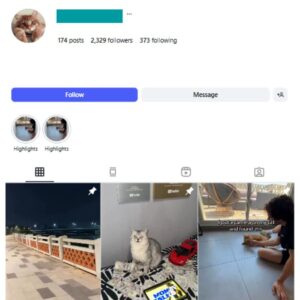 2K Pets Cats Instagram Account for sale