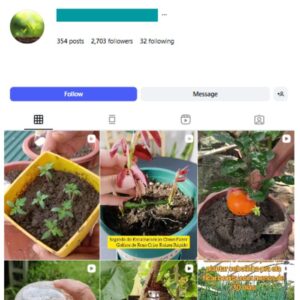 2K Plant Gardening Instagram Account for sale