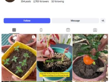 2K Plant Gardening Instagram Account for sale