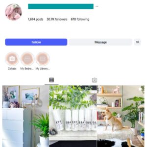 30K Lifestyle Blog Instagram Account for sale