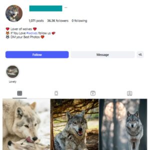 35K Wolf Wildlife Instagram Account for sale