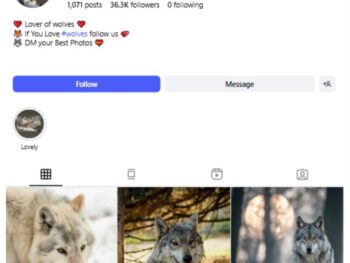 35K Wolf Wildlife Instagram Account for sale