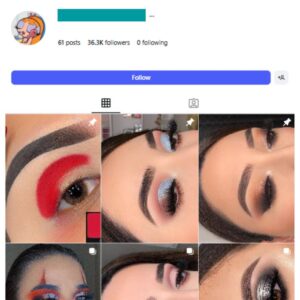 35K Women's Makeup Instagram Account for sale