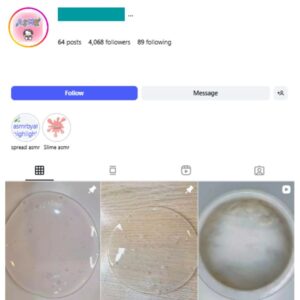 4K ASMR Satisfying Instagram Account for sale