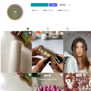 4K DIY Flower Craft Instagram Account for Sale