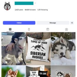 60K Husky Pets Dog Instagram Account for sale