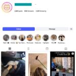 80K Funny Cats Pets Instagram Account for sale
