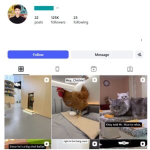 125K Pets Cats Instagram Account for sale