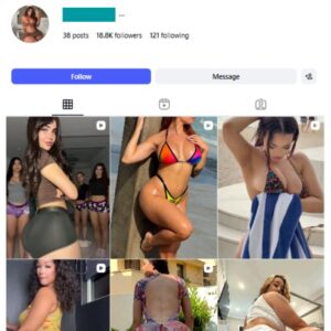 18K Adult Models Instagram Account for sale
