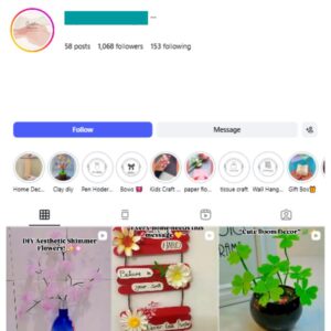 1K DIY Flower Craft Instagram Account for sale