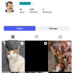 1K Pets Cats Instagram Account for sale