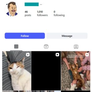 1K Pets Cats Instagram Account for sale