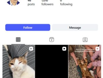1K Pets Cats Instagram Account for sale