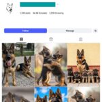 30K German Shepherd Dog Instagram Account for sale