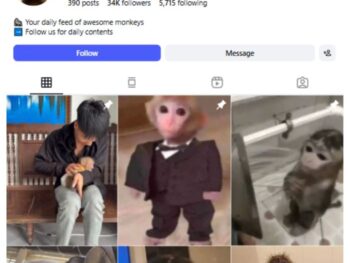 30K Monkey Animal Reels Instagram Account for sale