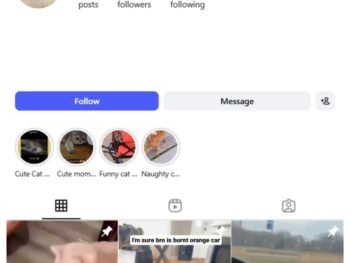 4K Cute Cats Instagram Account for sale