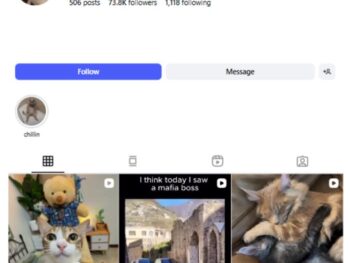 70K Cute Cats Instagram Account for sale