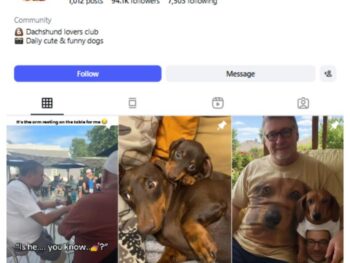 90K Dachshund Dogs Instagram Account for sale