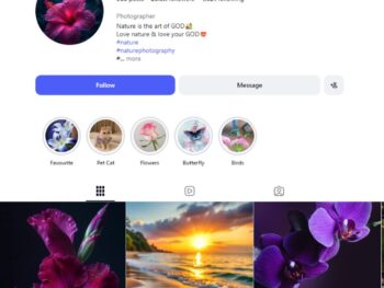 25K Aesthetic Nature Landscape Instagram Account