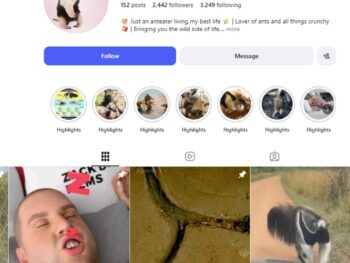 2K Animal Memes Instagram Account