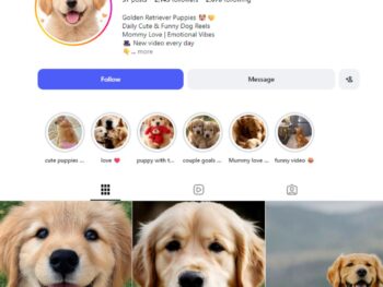 2K Cute Puppy Instagram Account