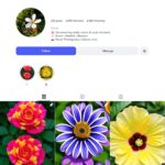 2K Floral Photography Instagram Account