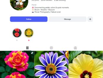 2K Floral Photography Instagram Account