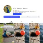 45K Peacock Enthusiast Instagram Account