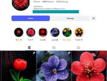 4K Floral Photography Instagram Account