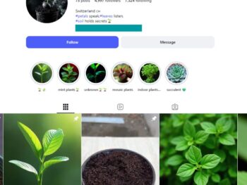 4K Plant Photography Instagram Account