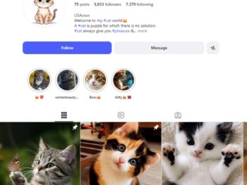5K Cat Photography Instagram Account